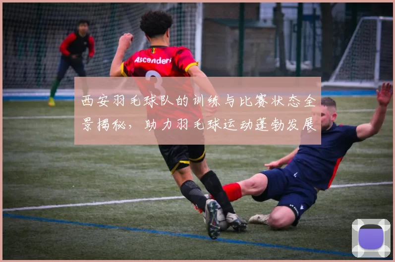 西安羽毛球队的训练与比赛状态全景揭秘，助力羽毛球运动蓬勃发展