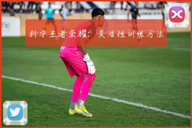 科学王者荣耀：灵活性训练方法