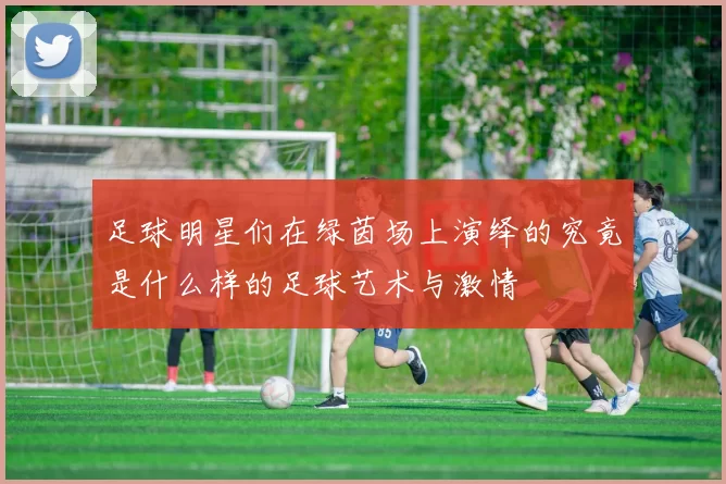 足球明星们在绿茵场上演绎的究竟是什么样的足球艺术与激情