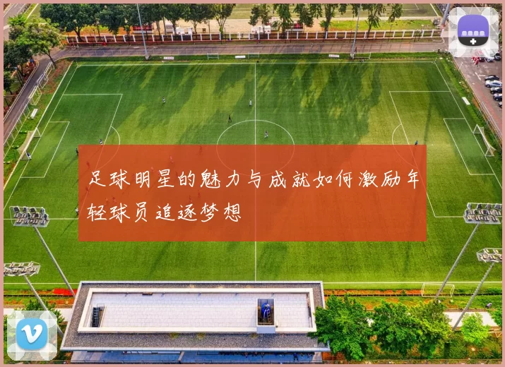 足球明星的魅力与成就如何激励年轻球员追逐梦想